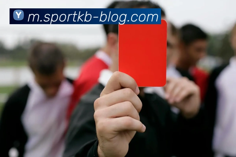 KB体育服务体系